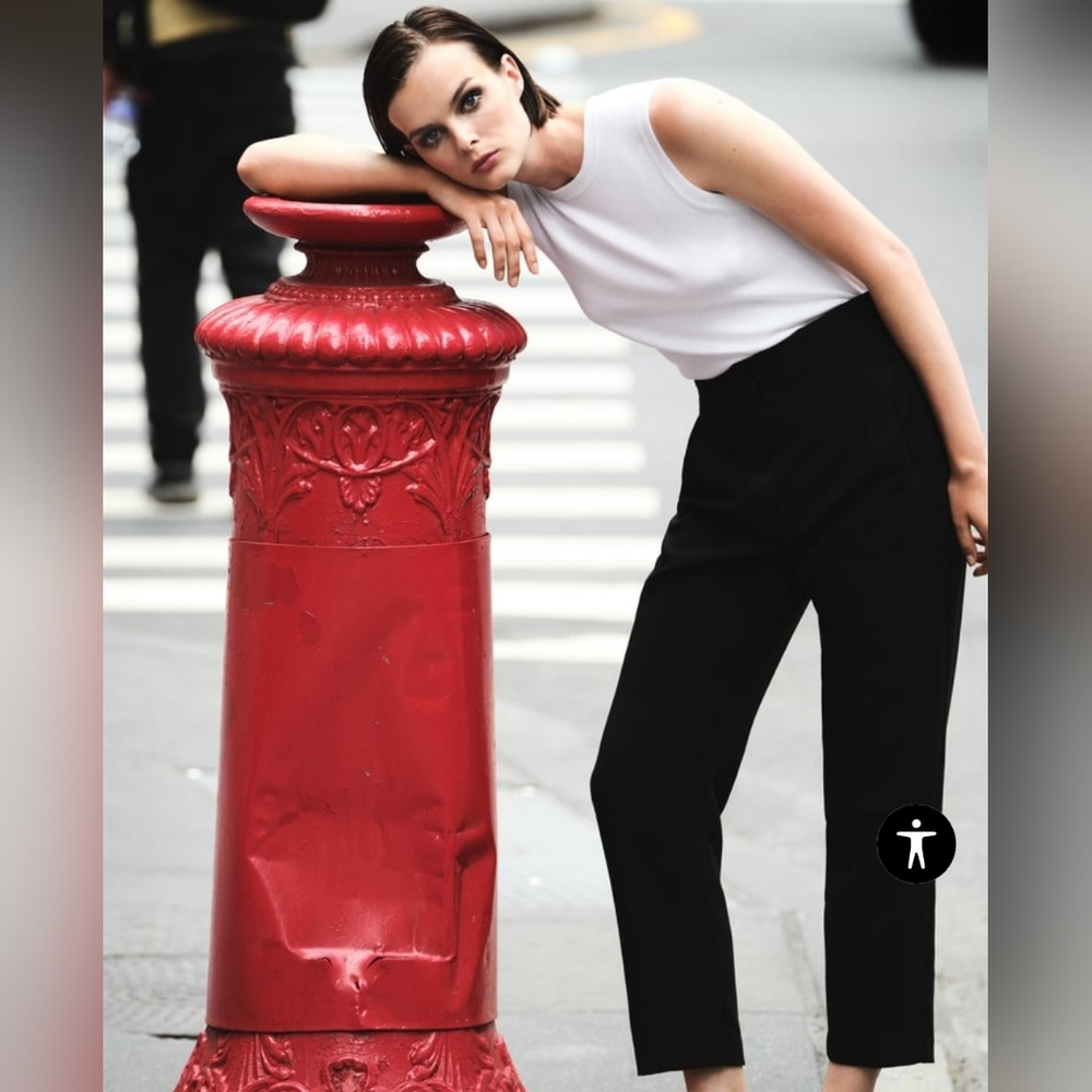 (NWT) Zara pants - Picture 1 of 9